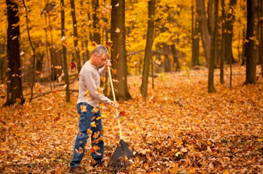 Prevent Injuries While Doing Fall Yard Work | NWA Health Solutions ...